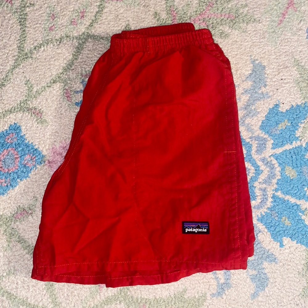 Men Patagonia Shorts